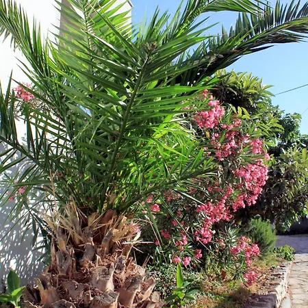 By The Sea Tkon, Pasman - 822 * טקון