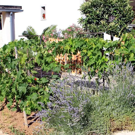 Apartament By The Sea Tkon, Pasman - 822 Tkon