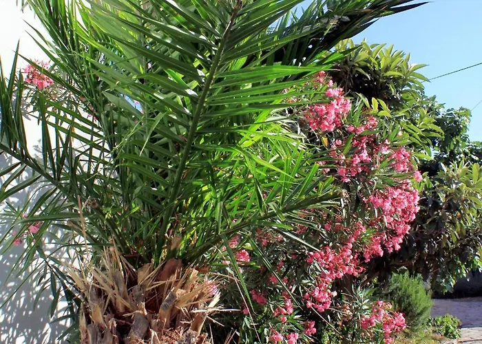 By The Sea Tkon, Pasman - 822 * Tkon